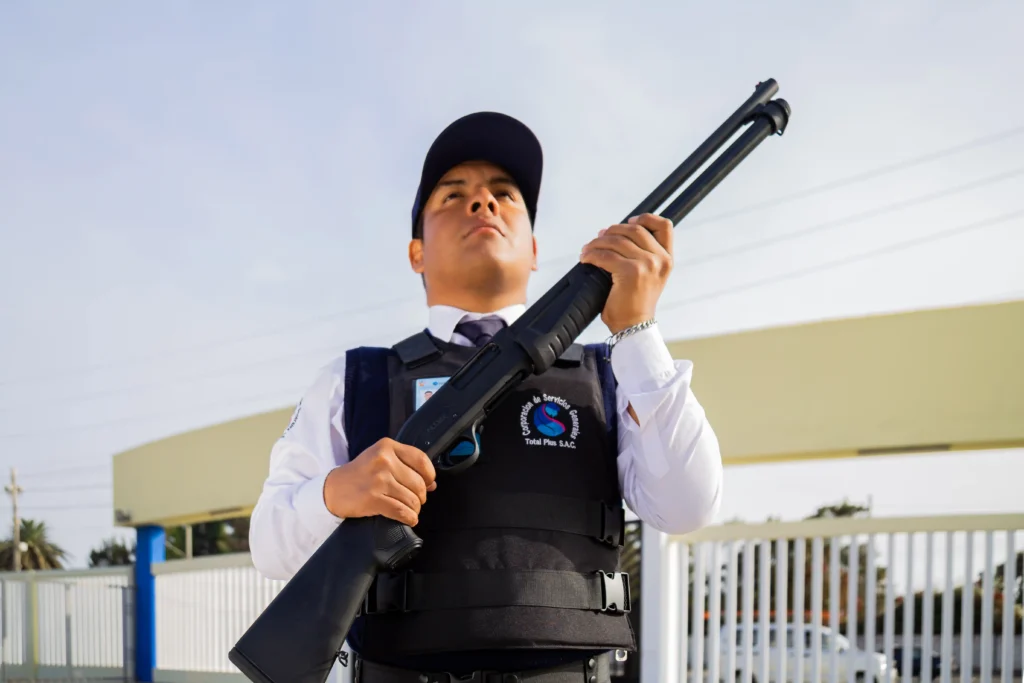 Inicio Seguridad